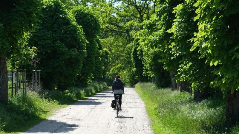 Agriturismo La Magione Quercegrossa المظهر الخارجي الصورة
